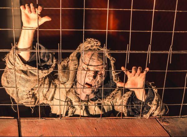 Квест Франкенштейн в Благовещенске