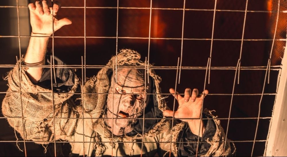 квест Франкенштейн в Благовещенске фото 0